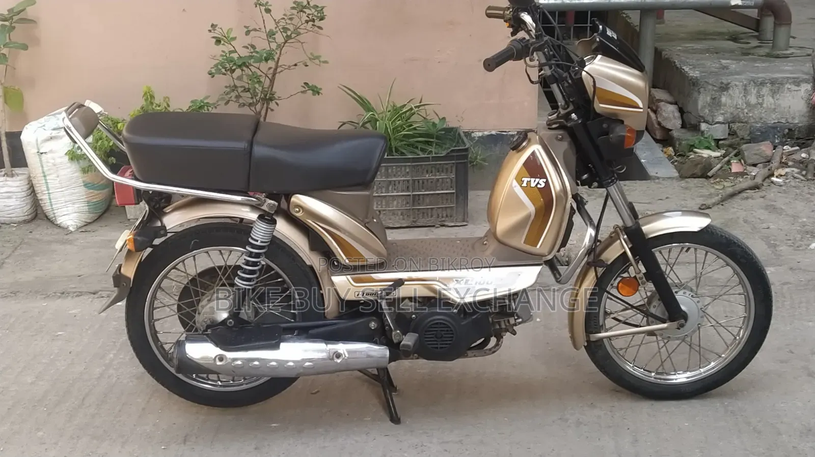 TVS XL 100 Comfort 2022 Purple