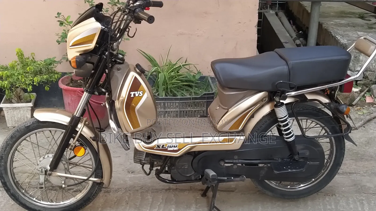 TVS XL 100 Comfort 2022 Purple
