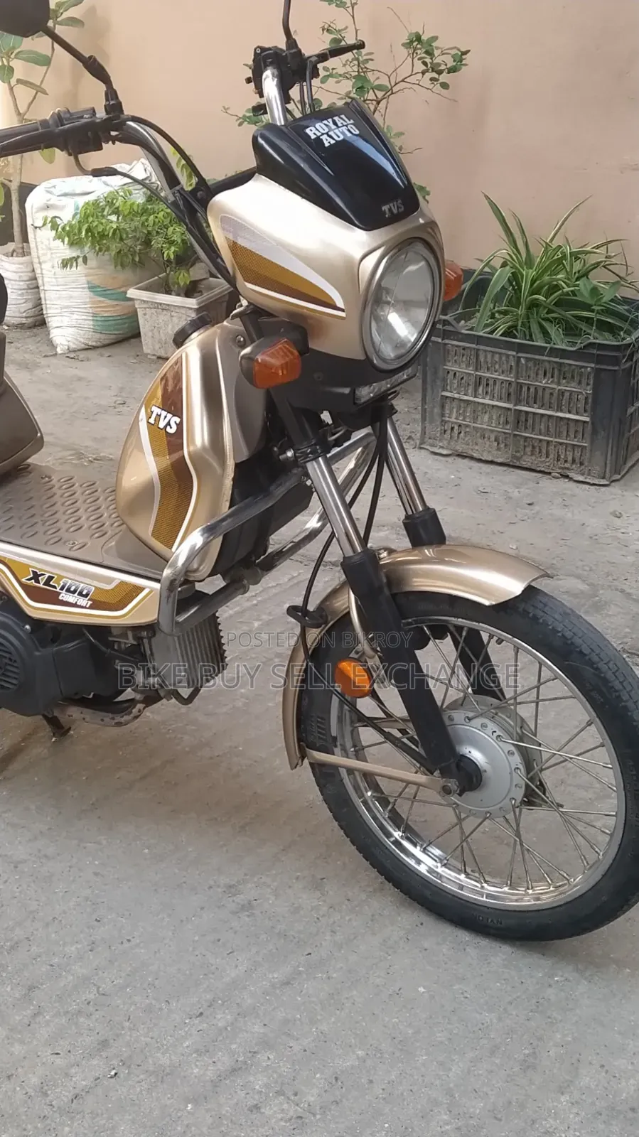 TVS XL 100 Comfort 2022 Purple