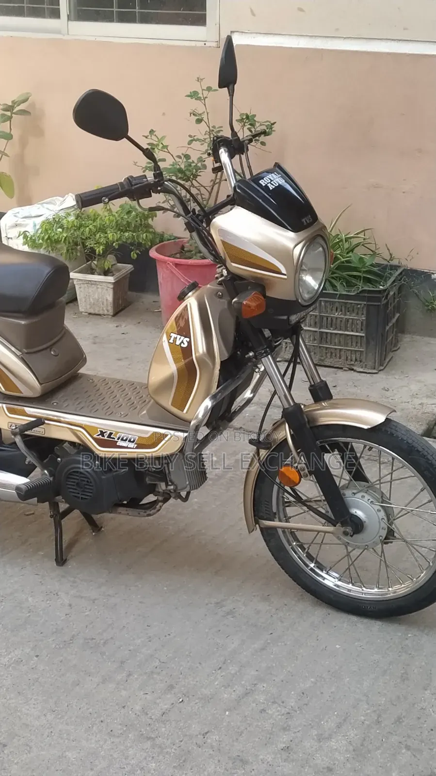 TVS XL 100 Comfort 2022 Purple