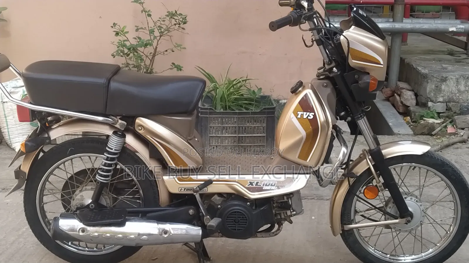 TVS XL 100 Comfort 2022 Purple