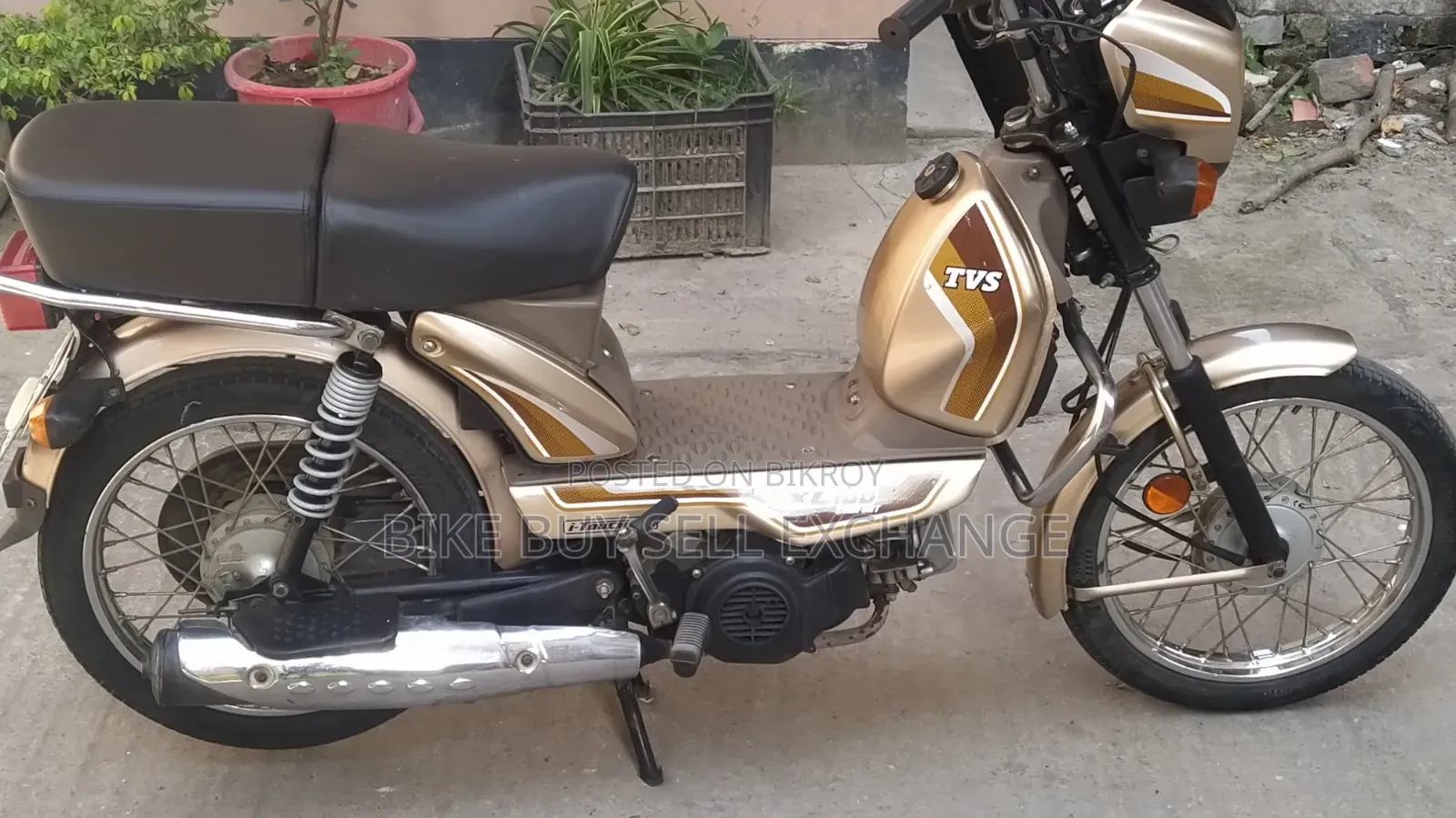 TVS XL 100 Comfort 2022 Purple