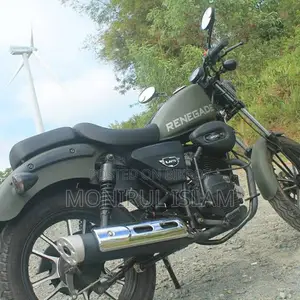 Runner Renegade Sport 2015 Green