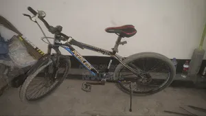 Peerless Cycle