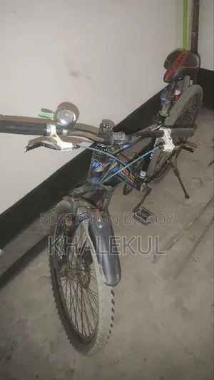 Peerless Cycle