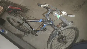 Peerless Cycle