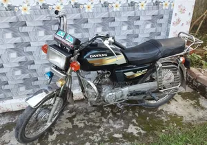 Dayang DY100-A 2010 Green