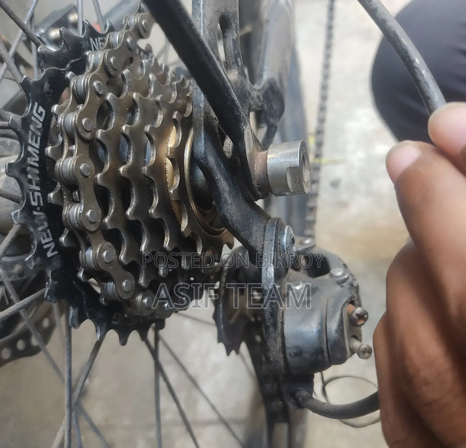 Phoenix Tornado MTB Gear Cycle for Sale