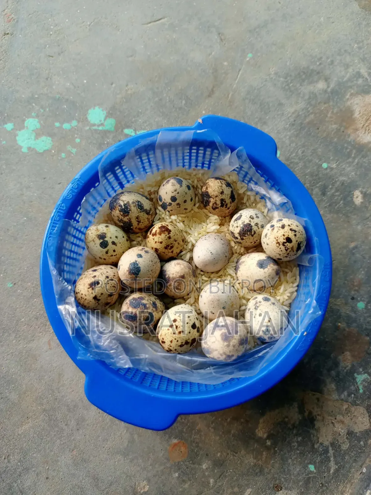 কোয়েলের বীজ ডিম বিক্রি হবে