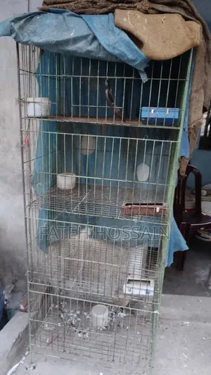 কবুতর খাঁচা