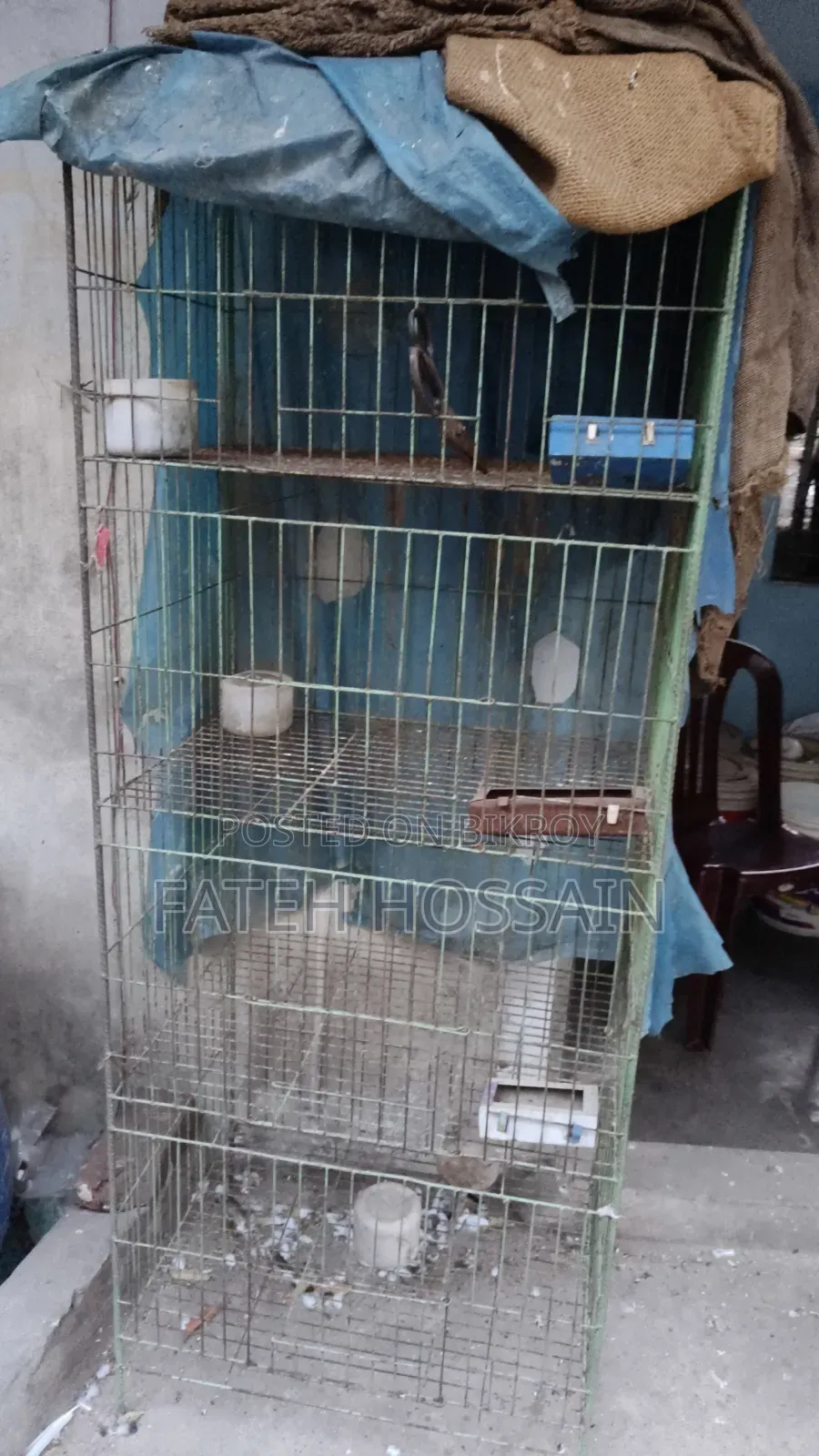 কবুতর খাঁচা