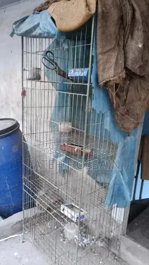 কবুতর খাঁচা