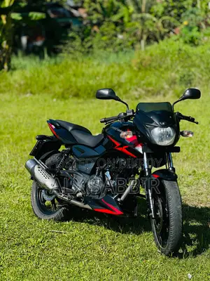 Bajaj Pulsar 150 2019 Black