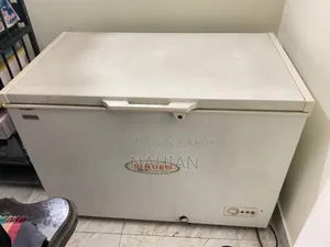 সিঙ্গার চেস্ট ফ্রিজ