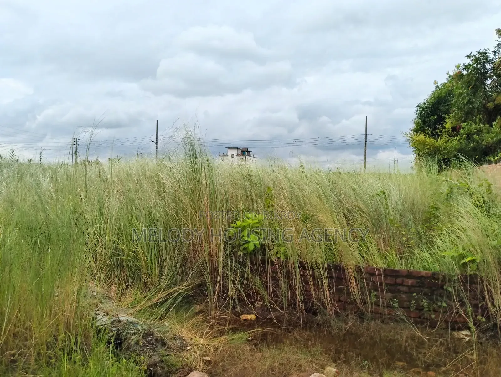 4 Katha Residential Plot for Sale in Purbachal American City