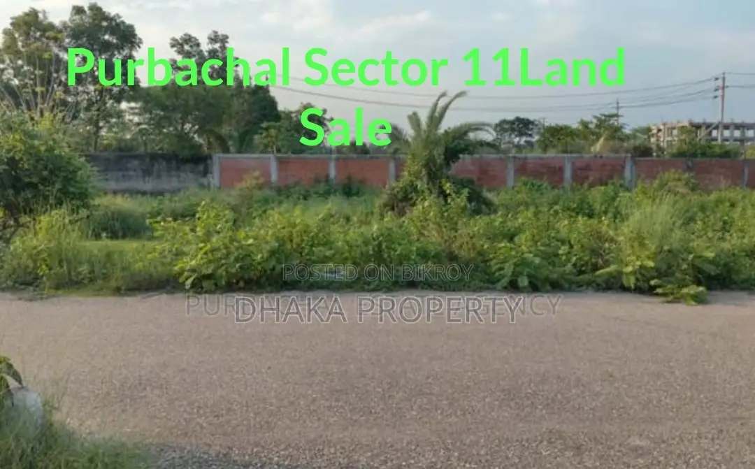 Sector-11 East 3 Katha Near 300ft