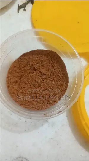 High Protein Fish Food 25g