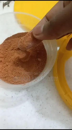 High Protein Fish Food 25g