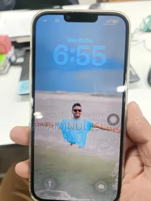 Apple iPhone 13 Pro Max 256 GB রোজ গোল্ড