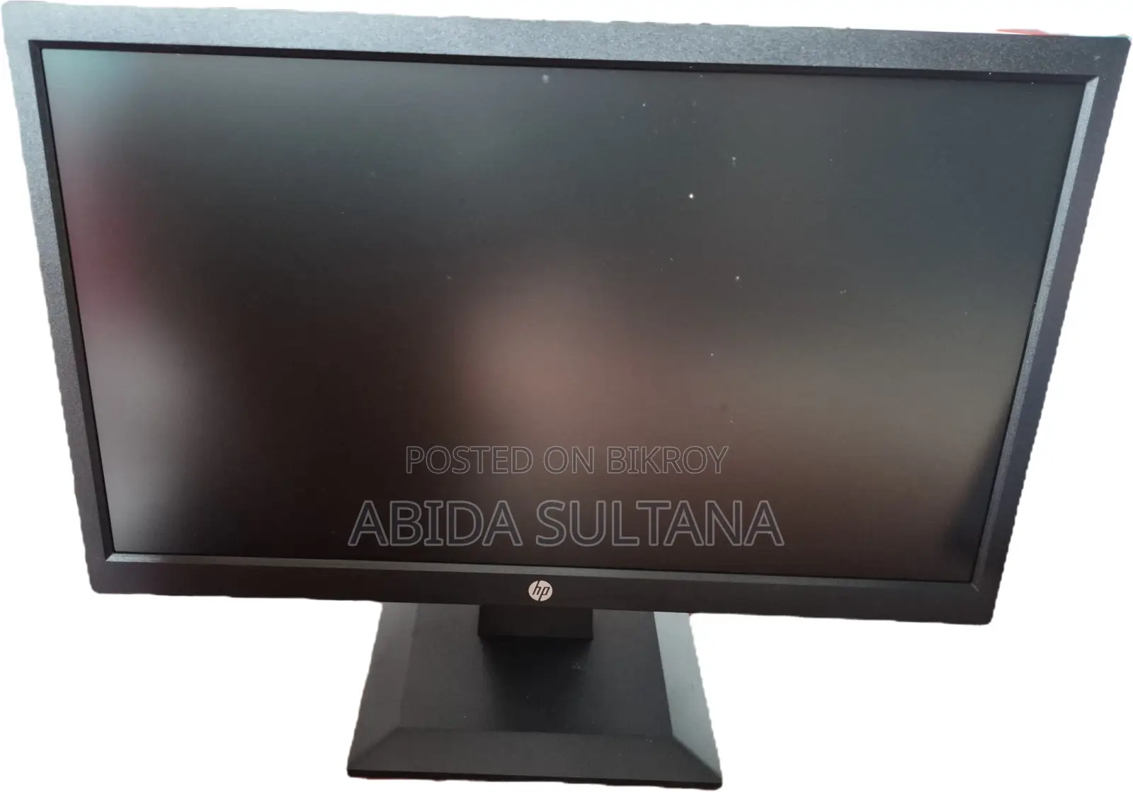 HP P204v 19.5-Inch Monitor