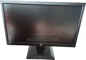 HP P204v 19.5-Inch Monitor