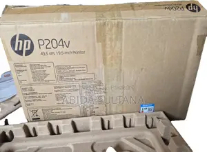 HP P204v 19.5-Inch Monitor