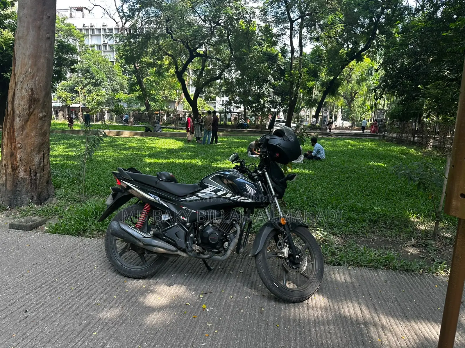 Honda Livo 2025 Black