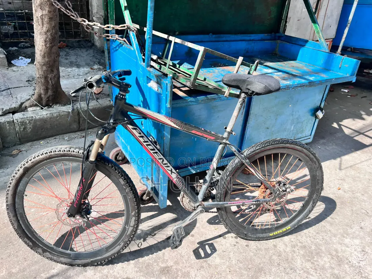 Phoenix Cycle