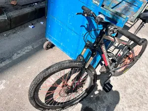 Phoenix Cycle