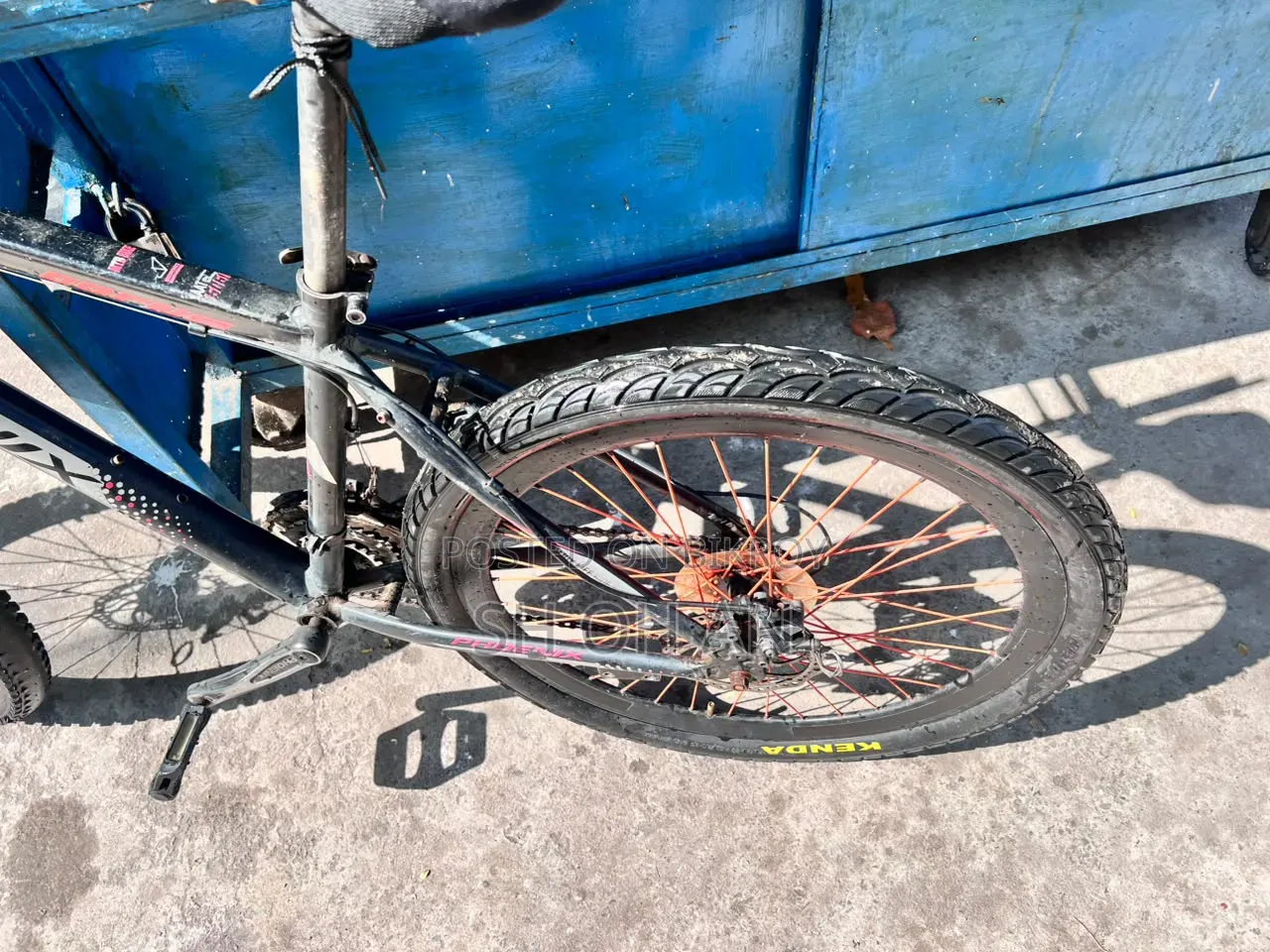 Phoenix Cycle