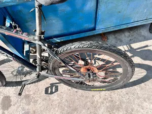Phoenix Cycle
