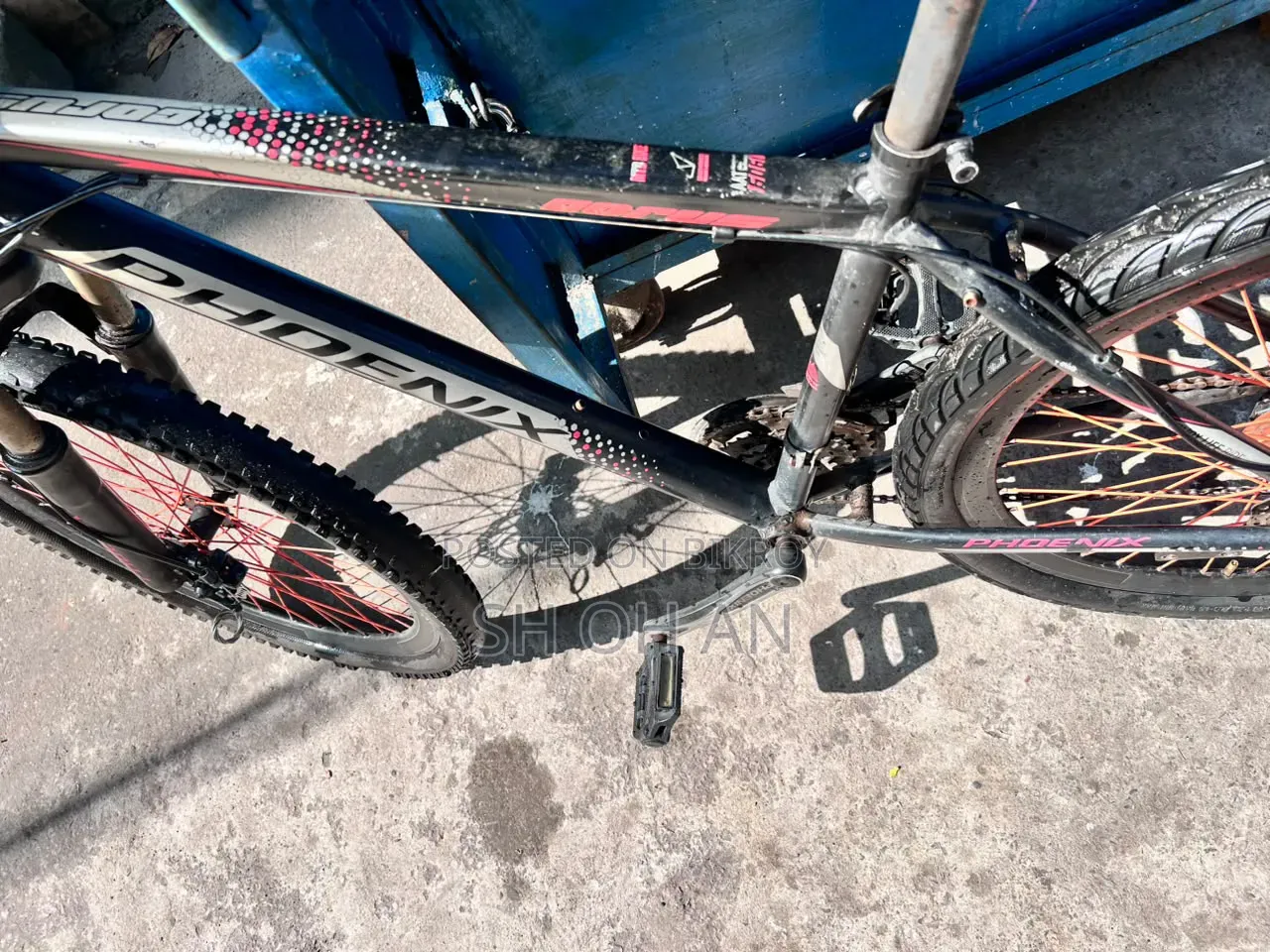 Phoenix Cycle