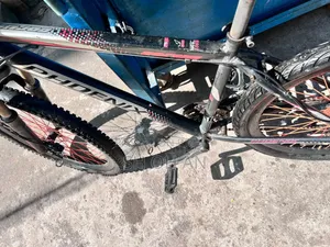 Phoenix Cycle