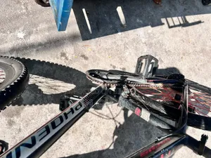 Phoenix Cycle