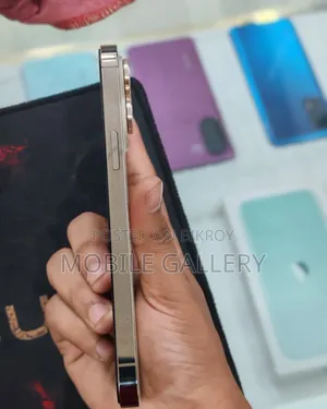 অ্যাপল আইফোন ১৪ প্রো ম্যাক্স ২৫৬ জিবি গোল্ড