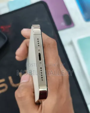 অ্যাপল আইফোন ১৪ প্রো ম্যাক্স ২৫৬ জিবি গোল্ড