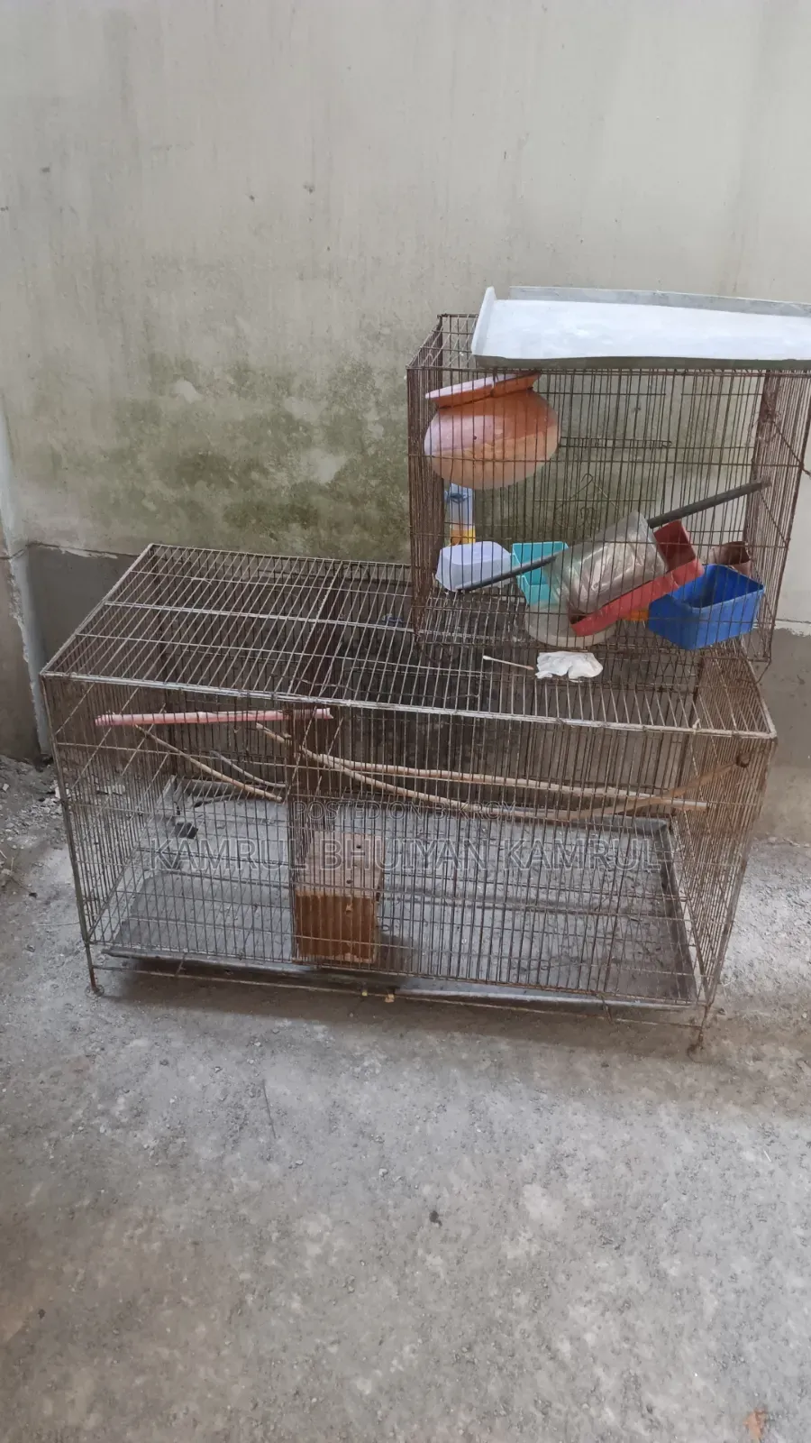Bird Cage