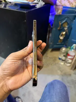 Apple iPhone 12 Pro Max 256 GB Green