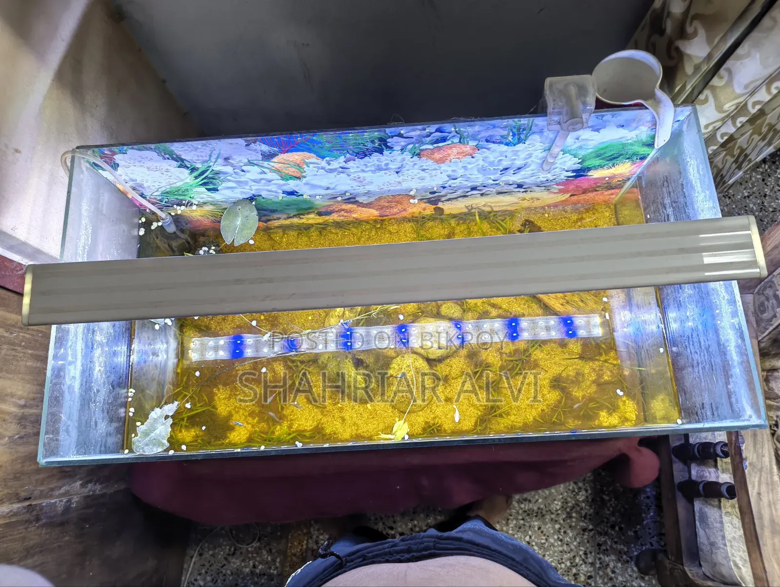Aquarium Setup for Sale