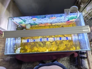 Aquarium Setup for Sale
