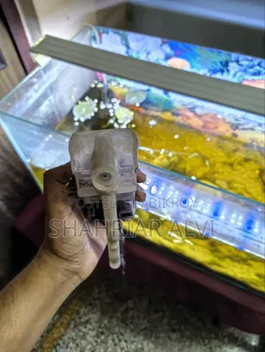 Aquarium Setup for Sale