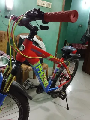 Bicycle Phoneix MTB Series
