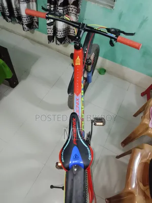 Bicycle Phoneix MTB Series