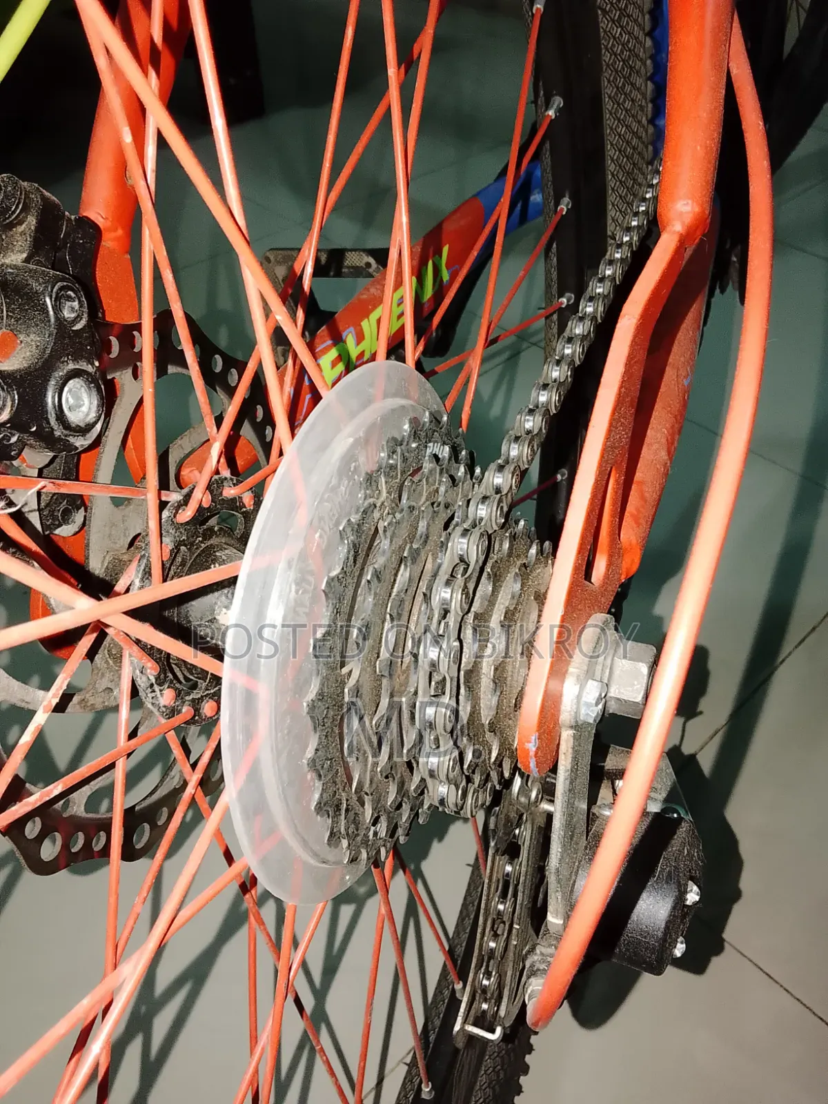 Bicycle Phoneix MTB Series