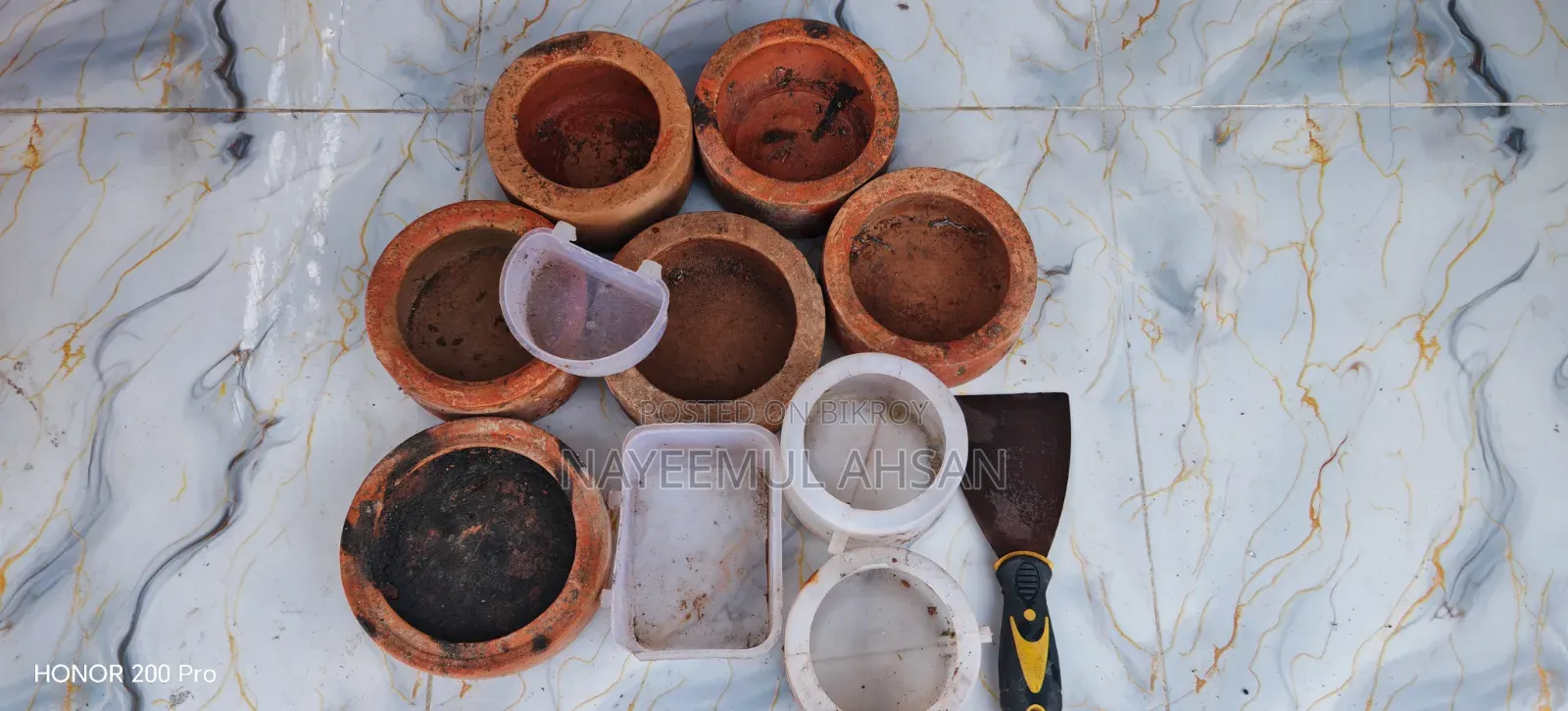 Pigeon food bowl