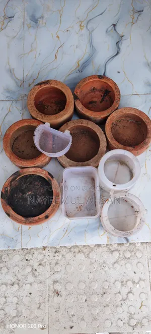 Pigeon food bowl