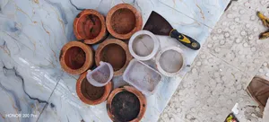 Pigeon food bowl