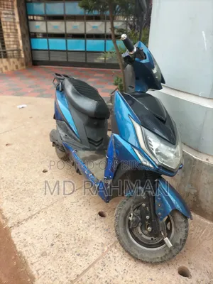 গ্রিন টাইগার জেআর-সপ্রিন্ট ২০২৩ নীল