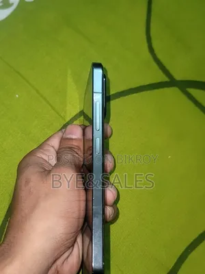 শাওমি ১৩ ২৫৬ জিবি গ্রে