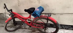 Cycle is very good